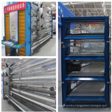 Best Sale Automatic Layer Cage
